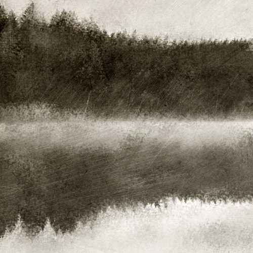 Misty Morning on the Lake 1 Poster Print by Kimberly Allen - Item # VARPDXKASQ111A