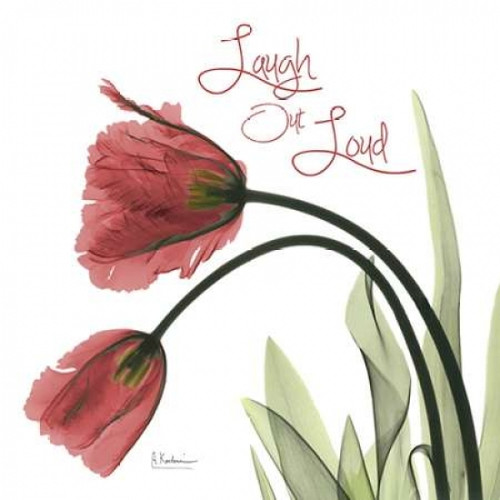 LOL Tulips L83 Poster Print by Albert Koetsier - Item # VARPDXAK5SQ138B4