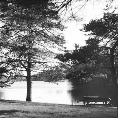 Landscape Poster Print by Lauren Gibbons - Item # VARPDXGLSQ192A