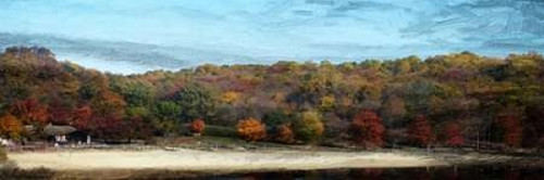Fall On Canvas Poster Print by Sheldon Lewis - Item # VARPDXSLBPL058B