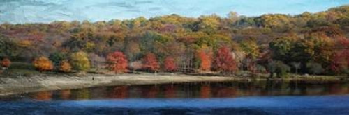 Painted Fall Poster Print by Sheldon Lewis - Item # VARPDXSLBPL058A