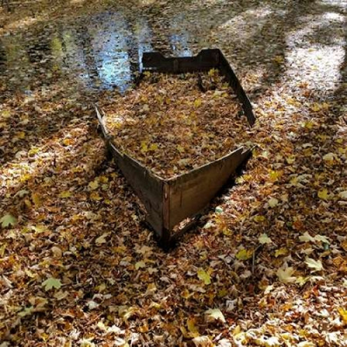 Little Stream Poster Print by Sheldon Lewis - Item # VARPDXSLBSQ203A