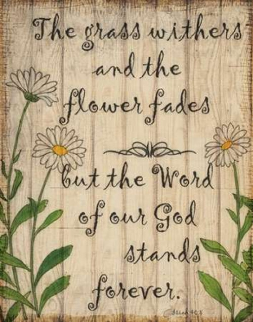 The Grass Poster Print by Taylor Greene - Item # VARPDXTGRC223A