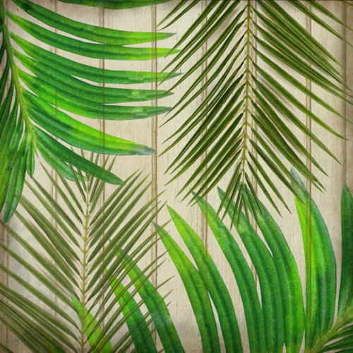 Tropic Day 2 Poster Print by Kimberly Allen - Item # VARPDXKASQ088B