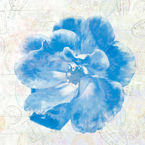 Floral Travel Poster Print by Sheldon Lewis - Item # VARPDXSLBSQ230A