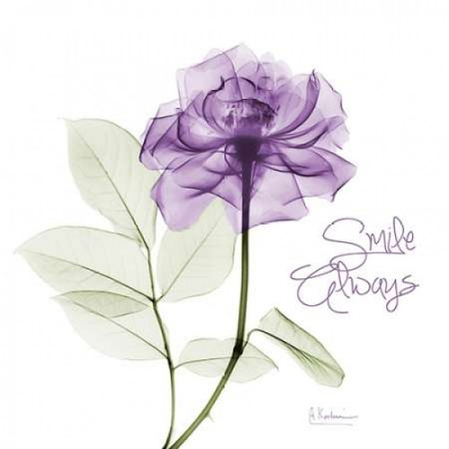 Smile Always Purple Poster Print by Albert Koetsier - Item # VARPDXAK5SQ028B
