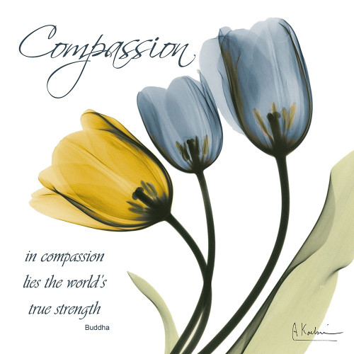 Tulips Compassion Poster Print by Albert Koetsier # AKXSQ801B