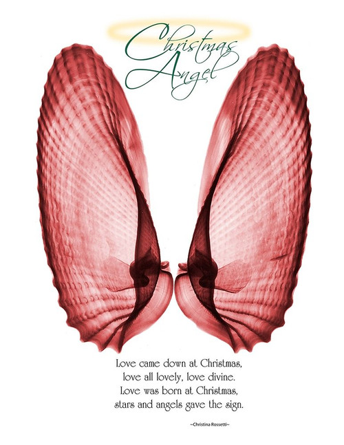 Christmas Wings 1 Poster Print by Albert Koetsier