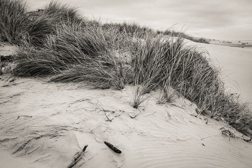 Beachy Dunes Poster Print by Glenn Taylor - Item # VARPDXQGTRC164