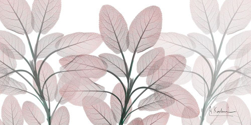 Furious Beauty Poster Print by Albert Koetsier - Item # VARPDXAK8RN004A