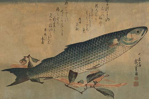 Striped mullet.  High quality vintage art reproduction by Buyenlarge.  One of many rare and wonderful images brought forward in time.  I hope they bring you pleasure each and every time you look at them. Poster Print by Ando  Hiroshige - Item # VARBL