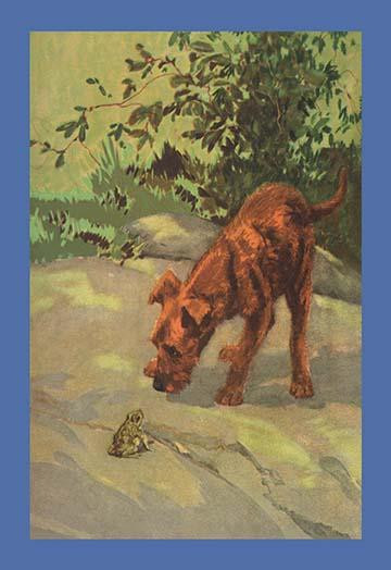 A terrier and a frog.  High quality vintage art reproduction by Buyenlarge.  One of many rare and wonderful images brought forward in time.  I hope they bring you pleasure each and every time you look at them. Poster Print by Diana Thorne - Item # VA