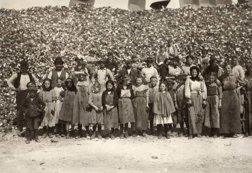 Hine: Oyster Shuckers, 1911. /Nmen, Women, Boys And Girl Oyster Shuckers Standing In Front Of A Great Hill Of Oyster Shells At The Dunbar Cannery Factory In Dunbar, Louisiana. Photograph By Lewis Hine, March 1911. Poster Print by Granger Collection -