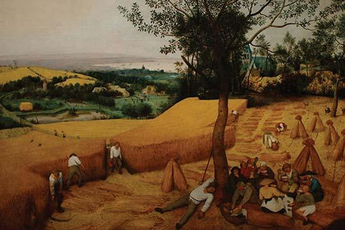 Harvesting Wheat.  High quality vintage art reproduction by Buyenlarge.  One of many rare and wonderful images brought forward in time.  I hope they bring you pleasure each and every time you look at them. Poster Print by Pieter the Elder Breugel - I