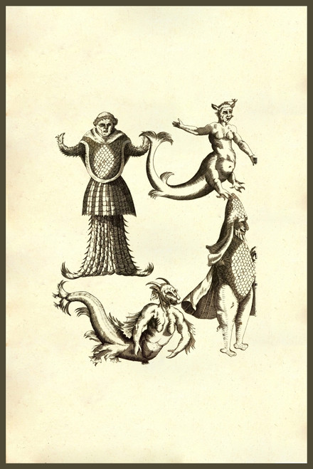 Triton, Siren, and Monarch sea creatures. From the 1642 book Monstrorum ...