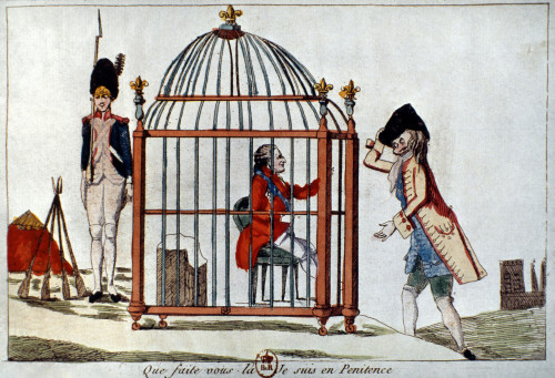 Louis Xvi (1754-1793). /Nking Of France, 1774-1792. Anonymous Artist'S Sarcastic View Of The Tuileries As A Cage For Louis Xvi Following His Arrest At Varennes, 1791. Contemporary French Colored Etching. Poster Print by Granger Collection - Item # VA
