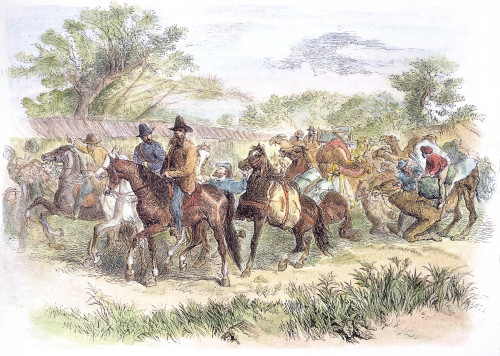 Burke & Wills Expedition. /Nthe Departure Of The Ill-Fated Robert O'Hara Burke And William John Wills Australian Exploring Expedition From The Royal Park, Melbourne, On 20 August 1860. Wood Engraving, 1862. Poster Print by Granger Collection - Item #