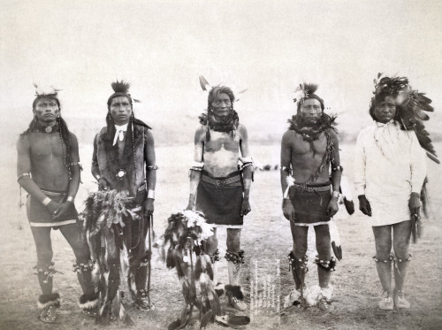 Sioux Dancers, 1890. /Nfive Grass Dancers In Ceremonial Clothing, Probably Participants In A Miniconjou Sioux Grass Dance Near The Cheyenne River In South Dakota. Photographed In 1890 By John C.H. Grabill. Poster Print by Granger Collection - Item #