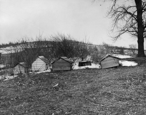 Winnebago Graves, 1920. /Ngraves, In The Form Of Small Wooden Huts, By The Side Of The Road On The Winnebago Native American Reseravtion At Thurston, Nebraska. Photographed By Frank H. Shoemaker, 1920. Poster Print by Granger Collection - Item # VARG