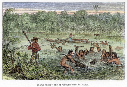 Henry Walter Bates /N(1825-1892). At Left, Holding A Club Watching Amazonian Native Indians Capturing Turtles And A Cayman. Wood Engraving From Bates 'The Naturalist On The River Amazons,' 1863. Poster Print by Granger Collection - Item # VARGRC00582