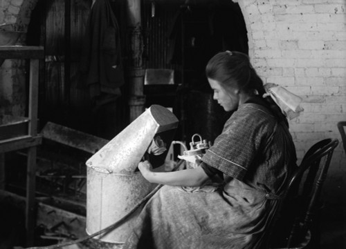Hine: Flower Factory, 1917. /N14-Year-Old Margaret Reddington Powdering Roses With A Blow Pipe At The Boston Floral Supply Company In Boston, Massachusetts. Photograph By Lewis Wickes Hine, January 1917. Poster Print by Granger Collection - Item # VA