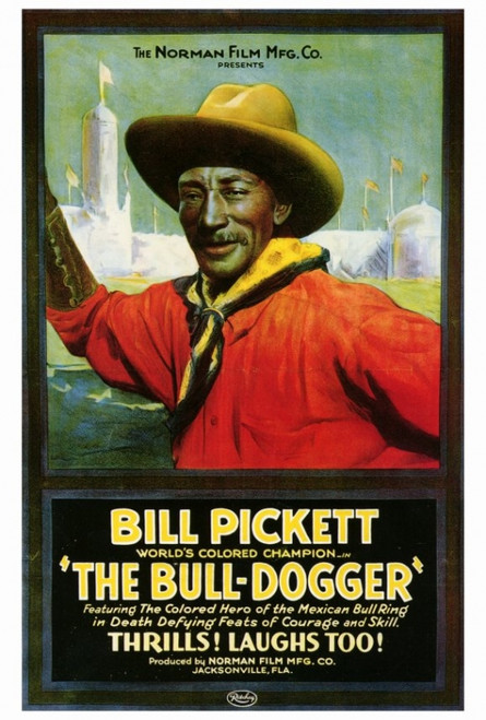 The Bull Dogger Movie Poster Print (27 x 40) - Item # MOVIF0173