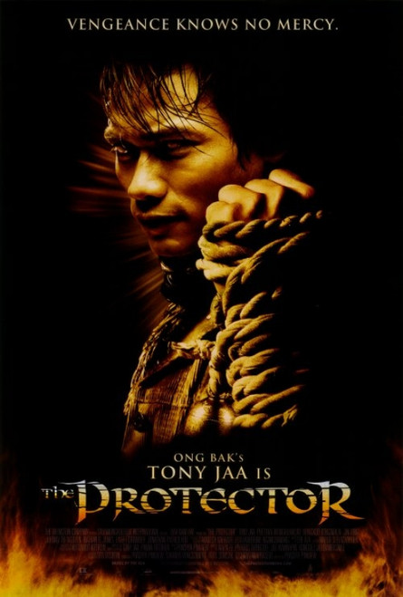 The Protector Movie Poster Print (27 x 40) - Item # MOVCH4520