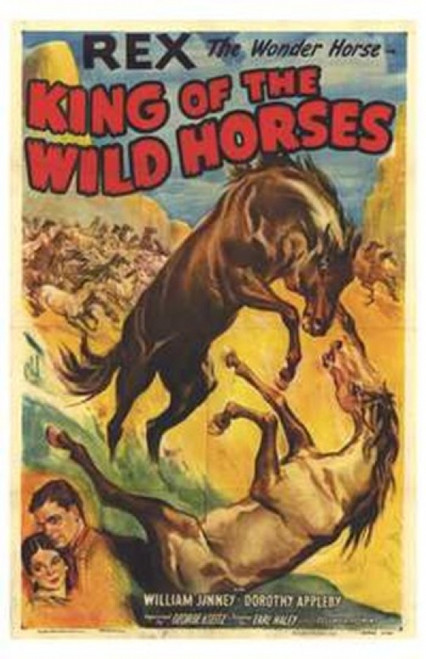 King of the Wild Horses Movie Poster (11 x 17) - Item # MOV208572