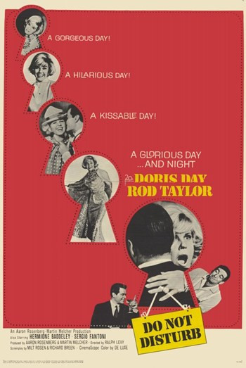 Do Not Disturb Movie Poster (11 x 17) - Item # MOV254553