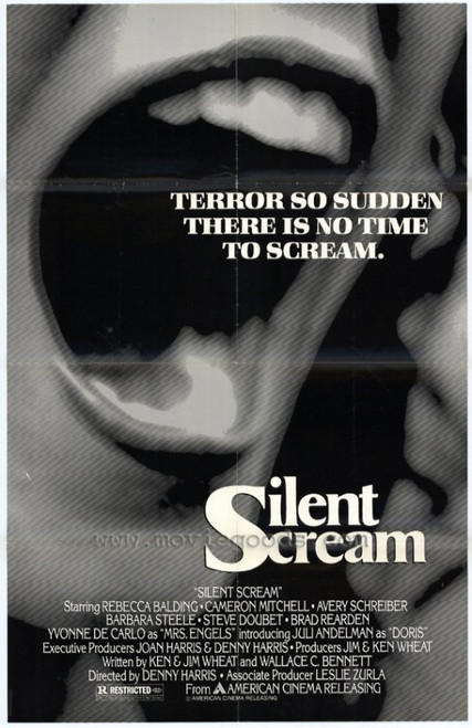 Silent Scream Movie Poster Print (27 x 40) - Item # MOVAH9617