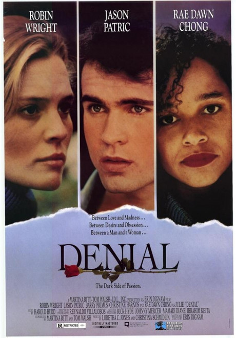 Denial Movie Poster Print (27 x 40) - Item # MOVIF9411