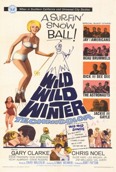 Wild Wild Winter Movie Poster Print (27 x 40) - Item # MOVGF5890