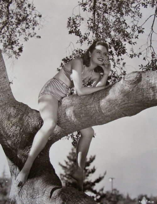 Alexis Smith - Tree Photo Print (8 x 10) - Item # DAP1107