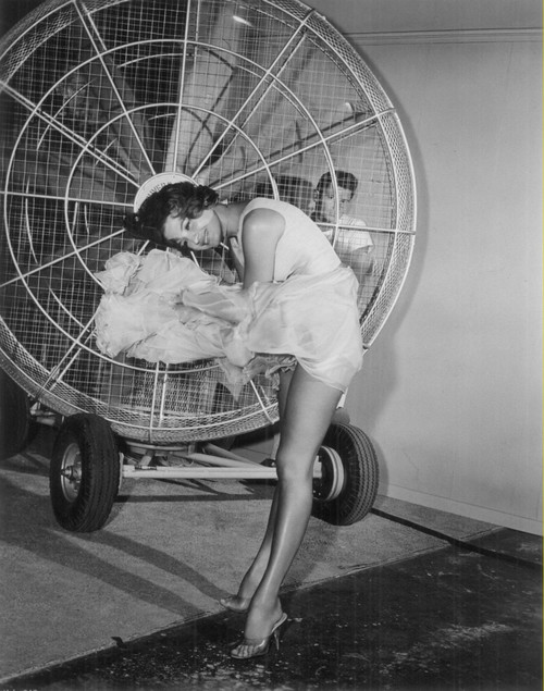 Angie Dickinson - Fan 1 Photo Print (8 x 10) - Item # DAP1283