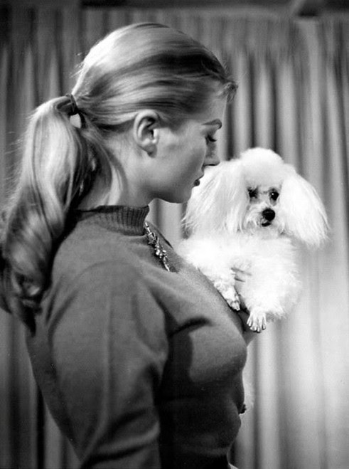 Anita Ekberg - Dog Photo Print (8 x 10) - Item # DAP1382