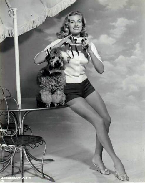 Anita Ekberg - Poodle Photo Print (8 x 10) - Item # DAP1387