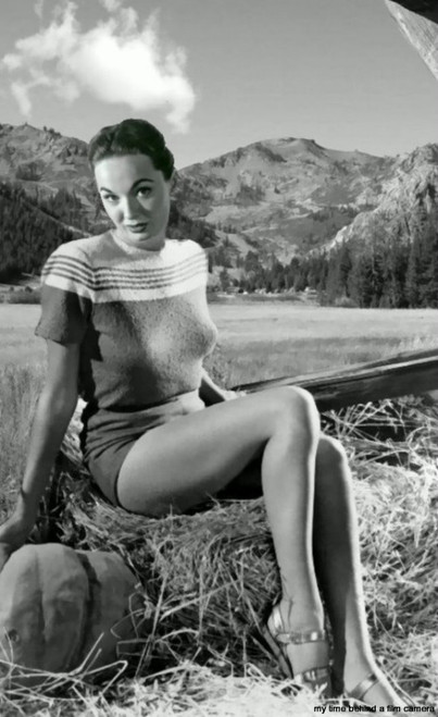 Ann Blyth - Hay Photo Print (8 x 10) - Item # DAP1509