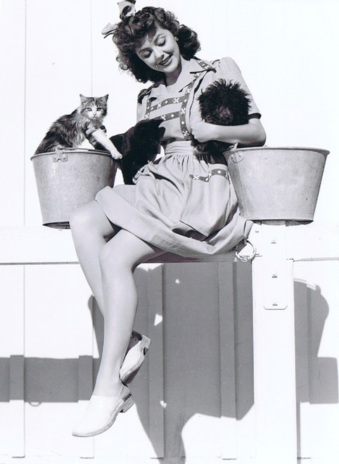 Ann Rutherford - Cats Photo Print (8 x 10) - Item # DAP1766