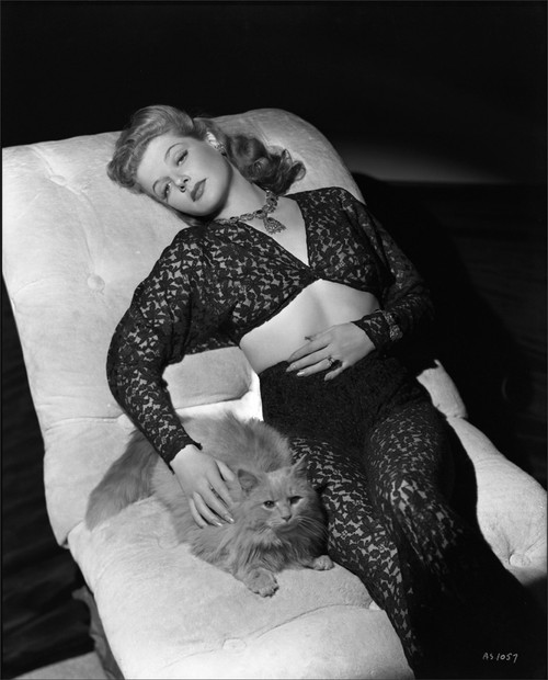 Ann Sheridan - Cat Photo Print (8 x 10) - Item # DAP1867