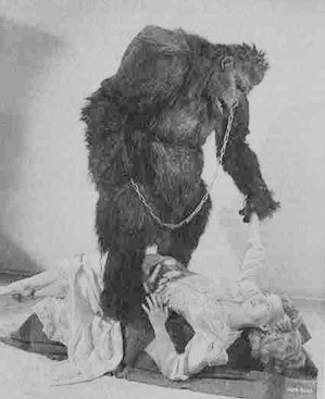 Anne Gwynne - Monster Photo Print (8 x 10) - Item # DAP11296