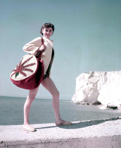 Audrey Hepburn - Bag Photo Print (8 x 10) - Item # DAP11632