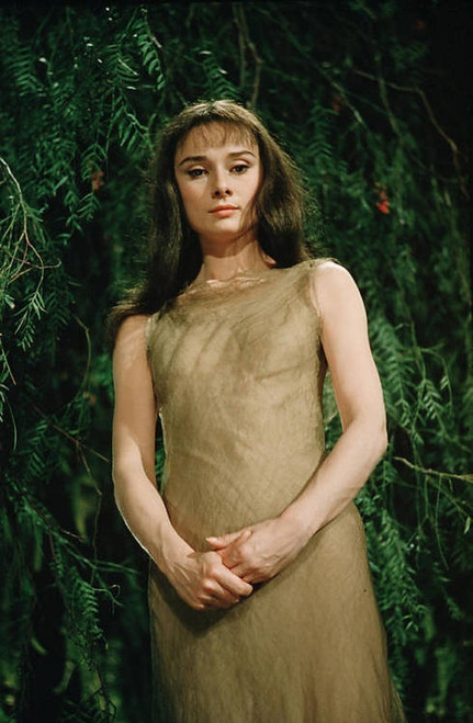 Audrey Hepburn - Brown Dress Photo Print (8 x 10) - Item # DAP11619
