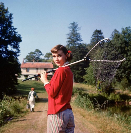 Audrey Hepburn - Fishing Net Photo Print (8 x 10) - Item # DAP11616