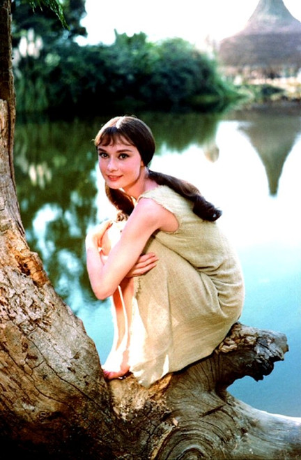 Audrey Hepburn - Tree Color Photo Print (8 x 10) - Item # DAP11650