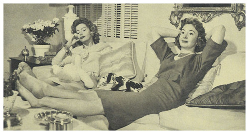 Audrey Meadows - Couch Photo Print (10 x 8) - Item # DAP11718