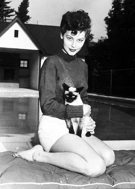 Ava Gardner - Cat Photo Print (8 x 10) - Item # DAP12074