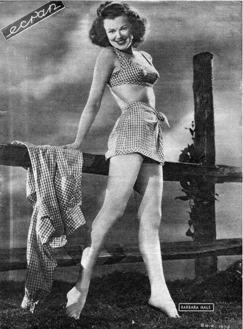 Barbara Hale - Fence Photo Print (8 x 10) - Item # DAP12323