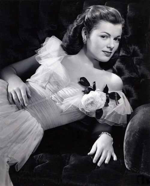 Barbara Hale - Flower Photo Print (8 x 10) - Item # DAP12343