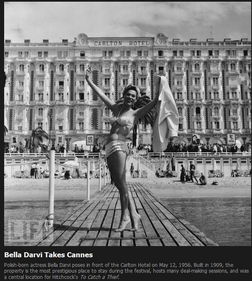 Bella Darvi - Cannes Photo Print (8 x 10) - Item # DAP12694