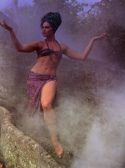 Brooke Shields - purple bikini in fog Photo Print (8 x 10) - Item # DAP14139